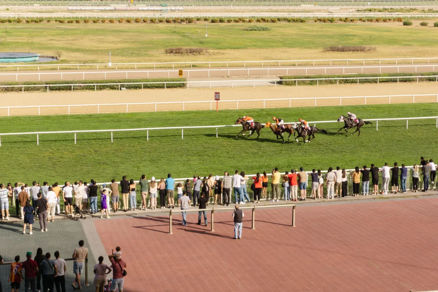 Racegoers lined along the rail as the runners pass on a racecourse